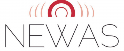Logo NEWAS