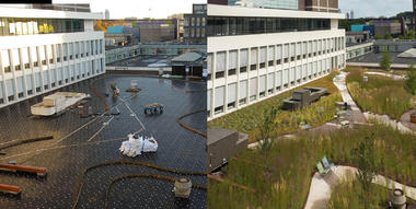 Met groen gebouwen energieneutraal, klimaatrobuust en natuurinclusief maken