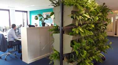 Wilde Wand brengt luchtzuiverende planten in kantoren