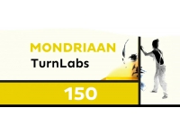 TwynstraGudde begeleidt kunstenaars in maatschappelijk programma Mondriaan 150